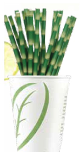 PAJILLAS DE PAPEL ENVUELTO PAQ 10 UNIDADES