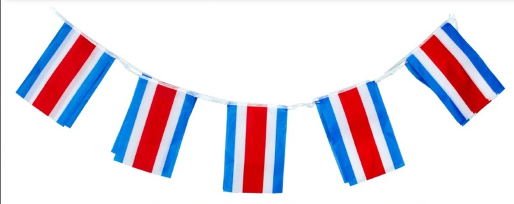 GUIRNALDA BANDERA CR 20X28 5 MTS PK-12