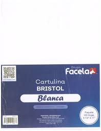 CARTULINA BRISTOL CARTA 100 HOJAS