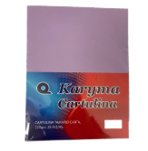 CARTULINA LILA TAMAÑO CARTA 220 GRS 25 HOJAS