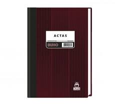 LIBRO CONTABILIDAD BUHO ACTAS 300 FOLIOS
