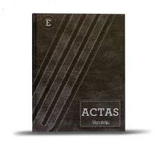 LIBRO CONTABILIDAD VEROLIZ ACTAS 100 FOLIOS TRAD   